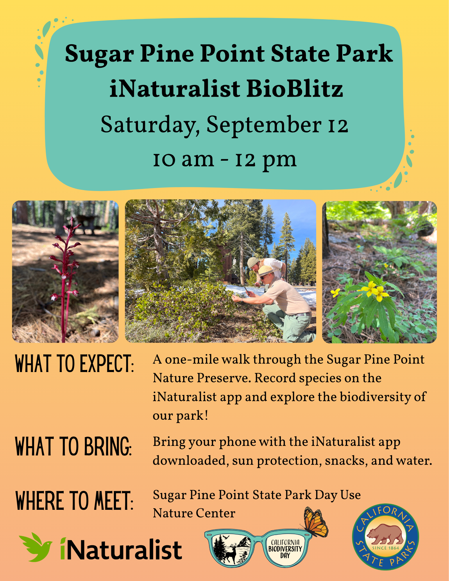 iNaturalist Bioblitz poster